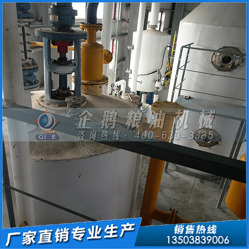 8-C9.jpg